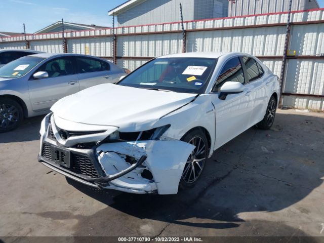 2021 TOYOTA CAMRY 4T1G31AKXMU569539 Photo 1