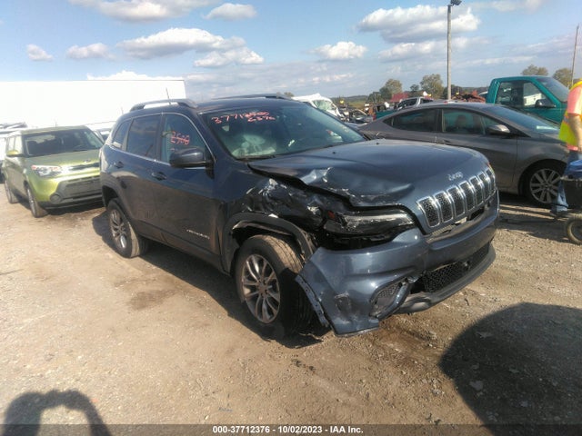 2020 1C4PJMLN5LD656234 main image