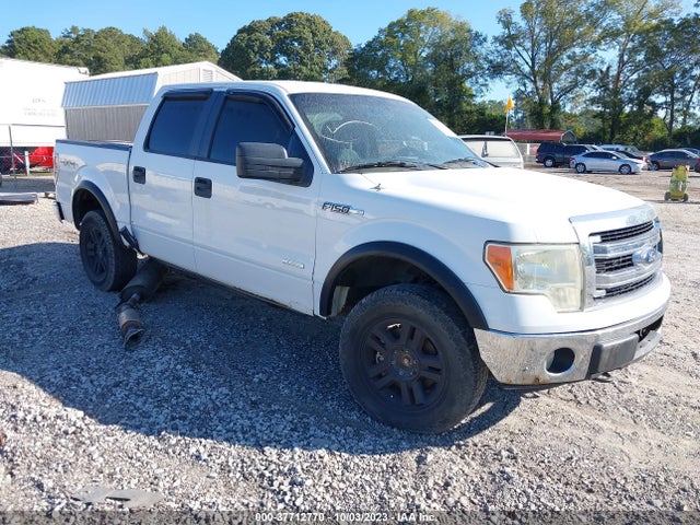 2013 FORD F-150 1FTFW1ET4DFA32454 Photo 0