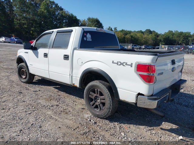 2013 FORD F-150 1FTFW1ET4DFA32454 Photo 2
