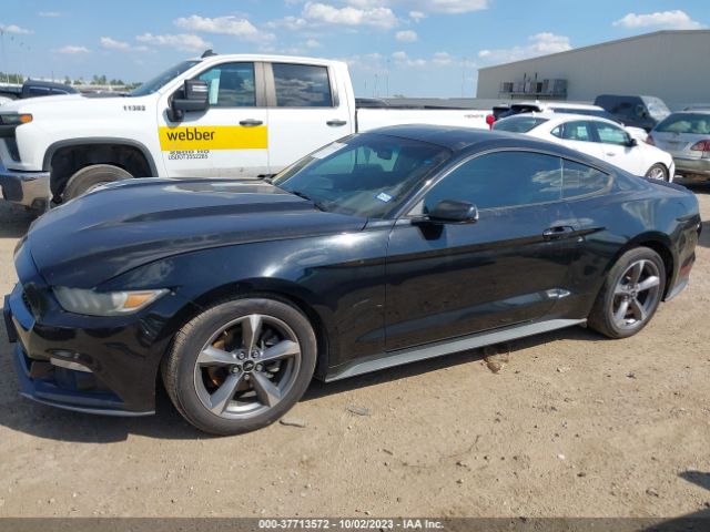 1FA6P8AM3F5337558 Ford Mustang V6
