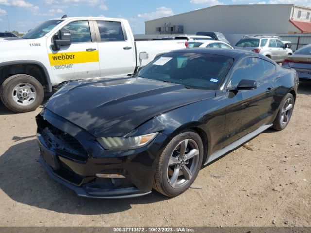 1FA6P8AM3F5337558 Ford Mustang V6