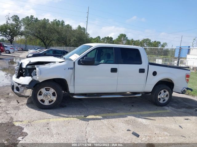 1FTEW1CMXEFA17983 Ford F-150 Xl/stx/xlt