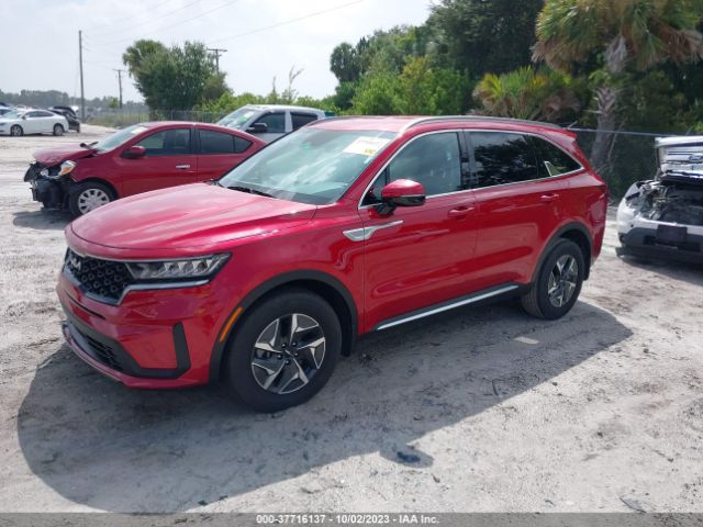 KNDRG4LG4N5113429 KIA Sorento Hybrid S