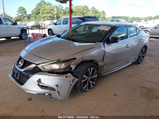 1N4AA6AP3JC374981 Nissan MAXIMA SV