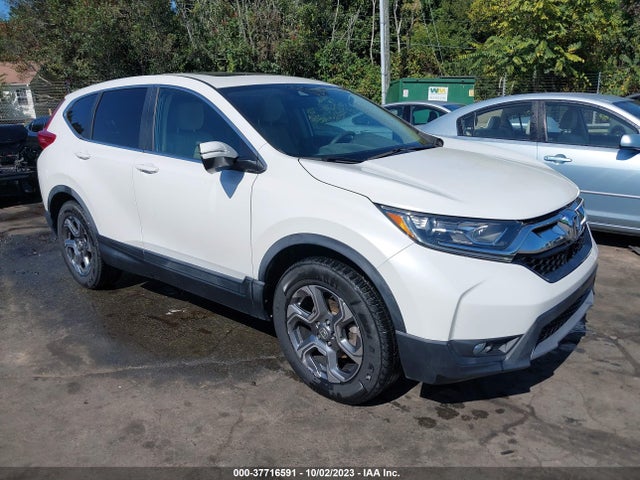 2019 JHLRW2H59KX010301 main image