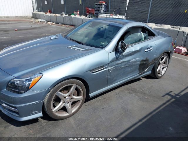 WDDPK4HA5EF079284 Mercedes-Benz Slk-class Slk 250