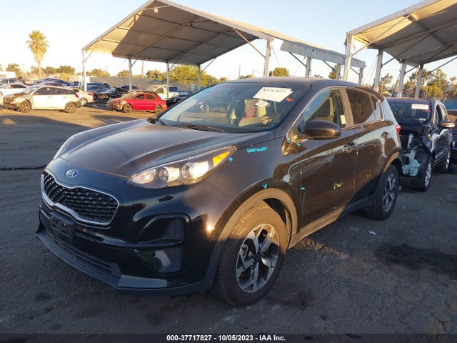 2020 KIA SPORTAGE LX VIN: KNDPM3AC4L7716165