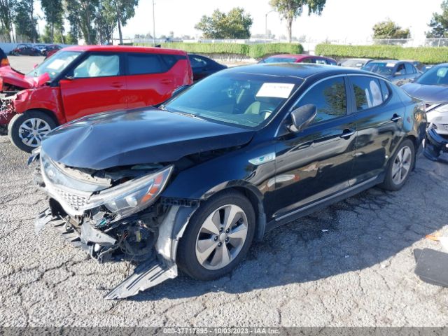 KNAGN4AD3F5081237 KIA Optima Hybrid Ex