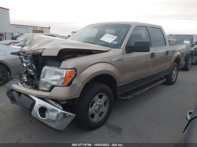 1FTEW1CMXEKE18909 Ford F-150 Xl/stx/xlt