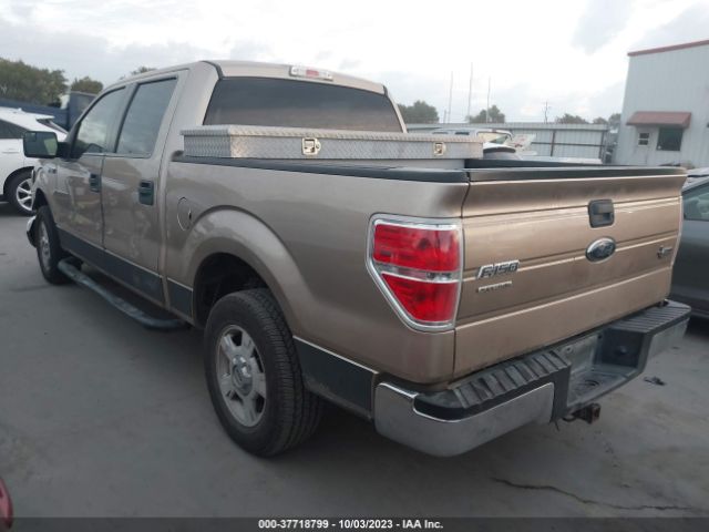 1FTEW1CMXEKE18909 Ford F-150 Xl/stx/xlt