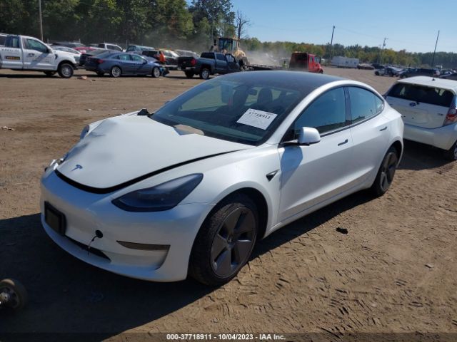 5YJ3E1EA9PF554431 Tesla MODEL 3