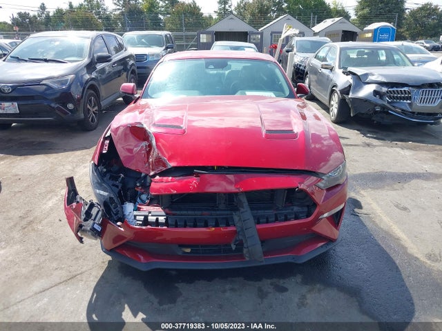 Ford Mustang Ecoboost 2019 1FA6P8TH7K5199274 Image 12