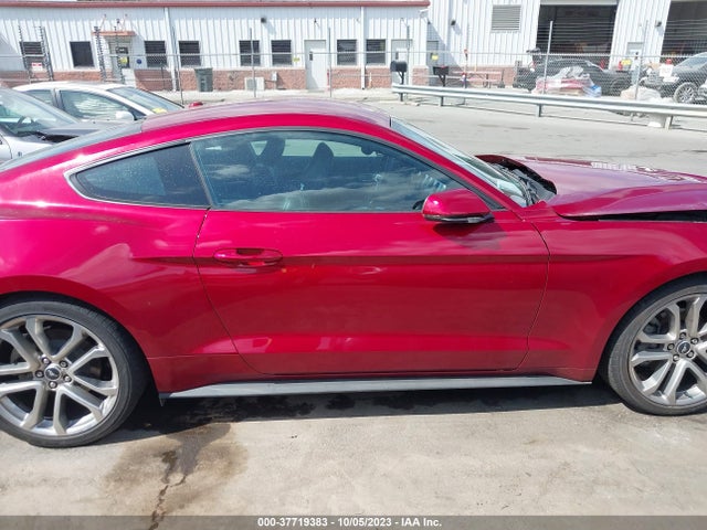 Ford Mustang Ecoboost 2019 1FA6P8TH7K5199274 Image 13
