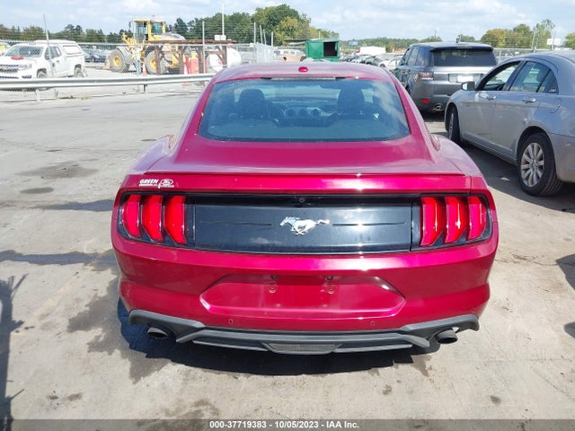 Ford Mustang Ecoboost 2019 1FA6P8TH7K5199274 Image 16