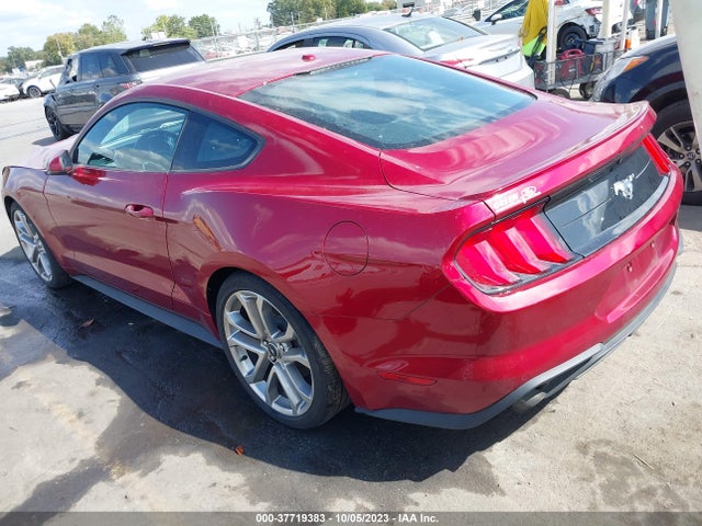 Ford Mustang Ecoboost 2019 1FA6P8TH7K5199274 Image 3