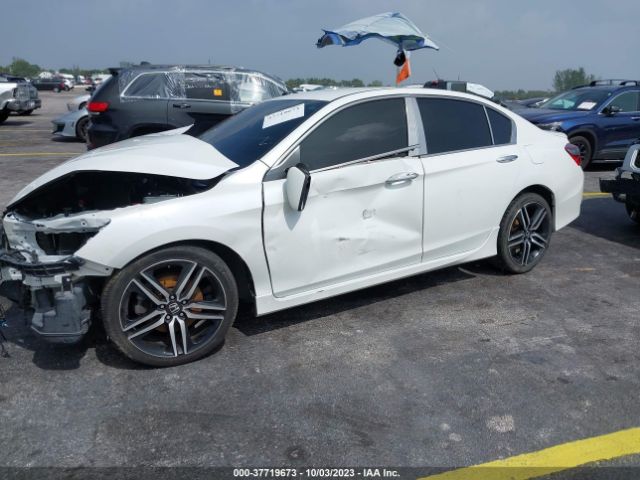 1HGCR2F64HA120207 Honda Accord Sedan Sport