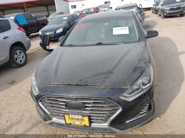 5NPE34AF4JH635038 Hyundai SONATA SEL