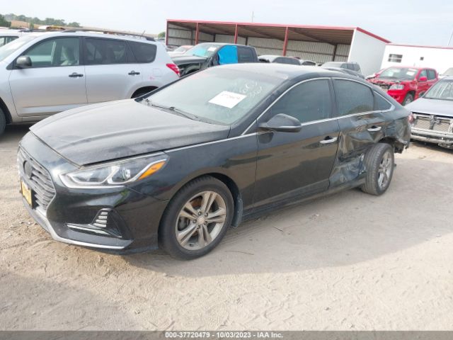 5NPE34AF4JH635038 Hyundai SONATA SEL