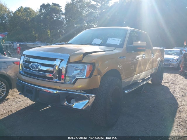 2009 FORD F-150 XL/XLT/FX4/LARIAT VIN: 1FTPW14VX9FA04866