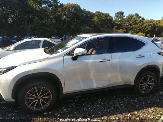 2024 Lexus NX, VIN: JTJAGCEZ2R5005917