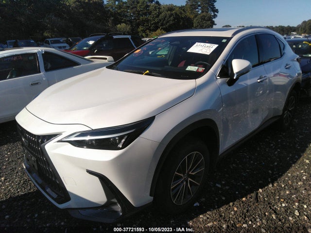 2024 Lexus NX, VIN: JTJAGCEZ2R5005917