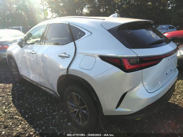 2024 Lexus NX, VIN: JTJAGCEZ2R5005917