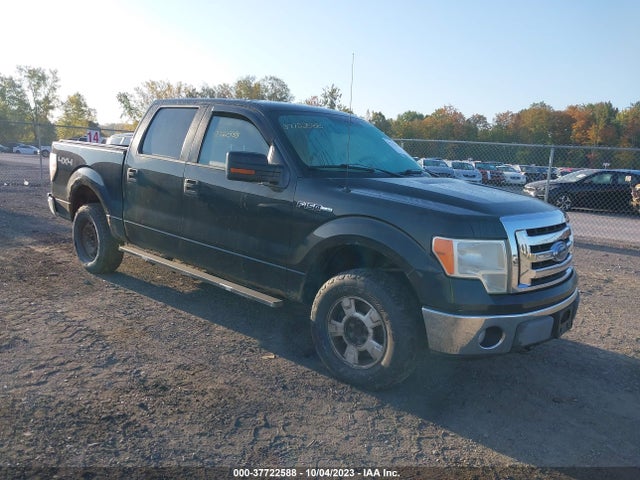 2010 FORD F-150 1FTFW1EV6AFC59674 Photo 0