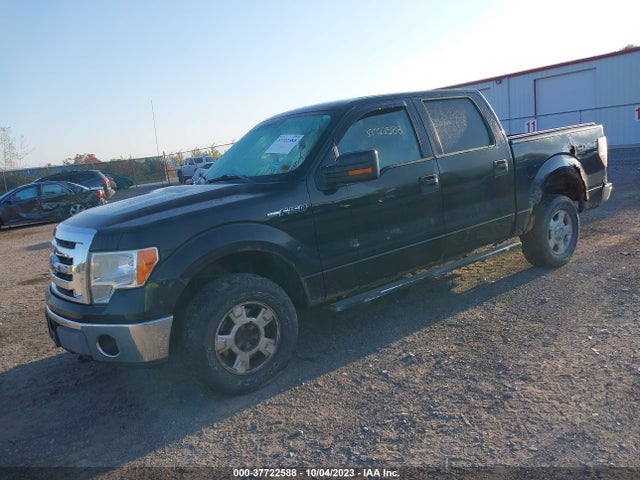 2010 FORD F-150 1FTFW1EV6AFC59674 Photo 1