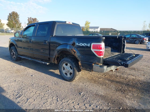 2010 FORD F-150 1FTFW1EV6AFC59674 Photo 2