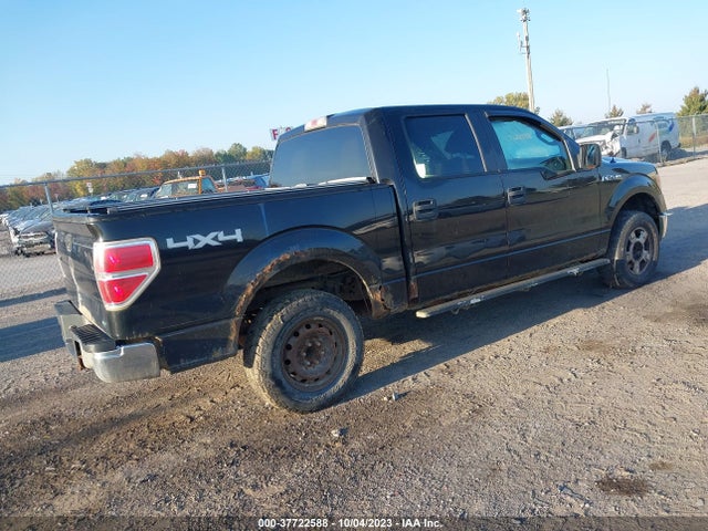 2010 FORD F-150 1FTFW1EV6AFC59674 Photo 3