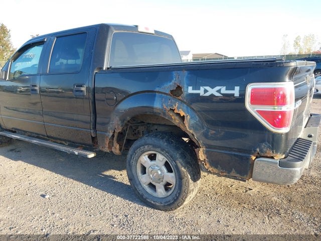2010 FORD F-150 XL/XLT/FX4/LARIAT VIN: 1FTFW1EV6AFC59674