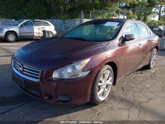 1N4AA5AP7EC438293 Nissan Maxima 3.5 Sv