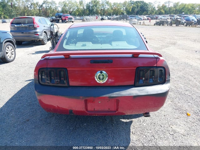 2005 FORD MUSTANG DELUXE/PREMIUM VIN: 1ZVHT80N655211389