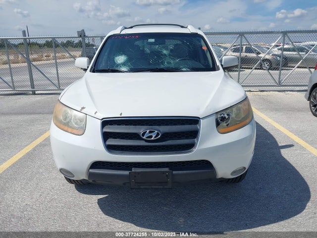 2009 HYUNDAI SANTA FE SE VIN: 5NMSH73E59H302267