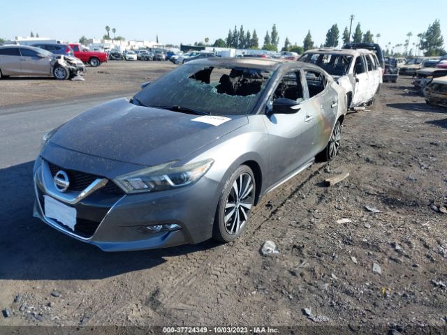 1N4AA6AP9HC456191 Nissan Maxima Sr