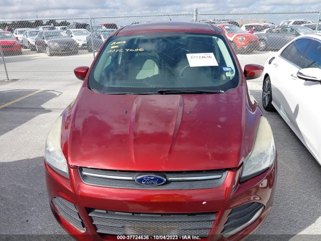 1FMCU0GX0EUA69724 Ford 2014