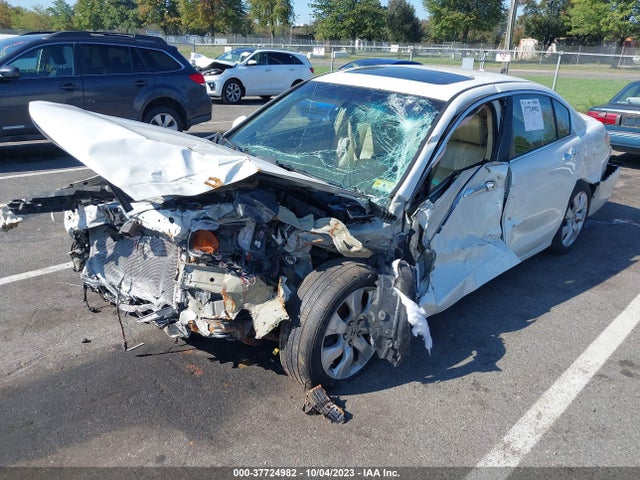 2010 HONDA ACCORD SDN EX-L VIN: 1HGCP3F82AA031304