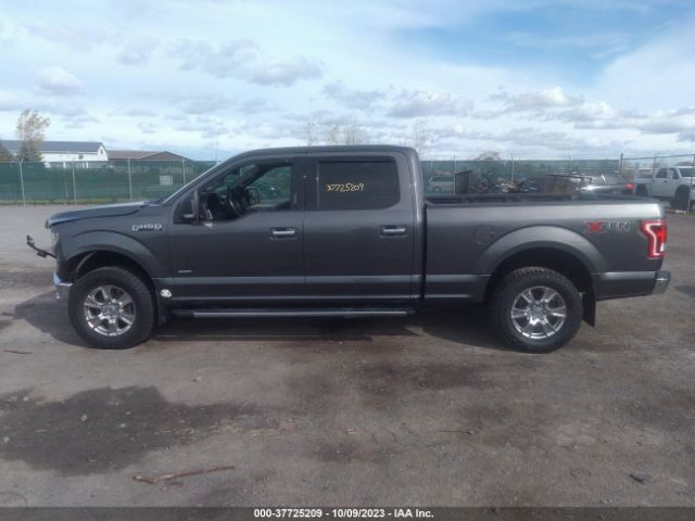 1FTFW1EG8FFB14838 Ford F-150 Xlt W