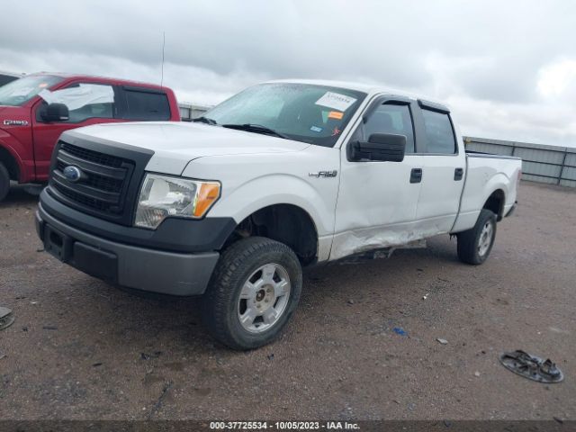 1FTFW1EFXEKD07487 Ford F-150 Xl/xlt/stx/fx4/lariat