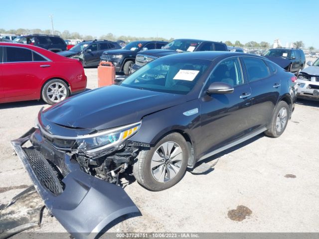 KNAGT4LE6H5009043 KIA Optima Hybrid Base