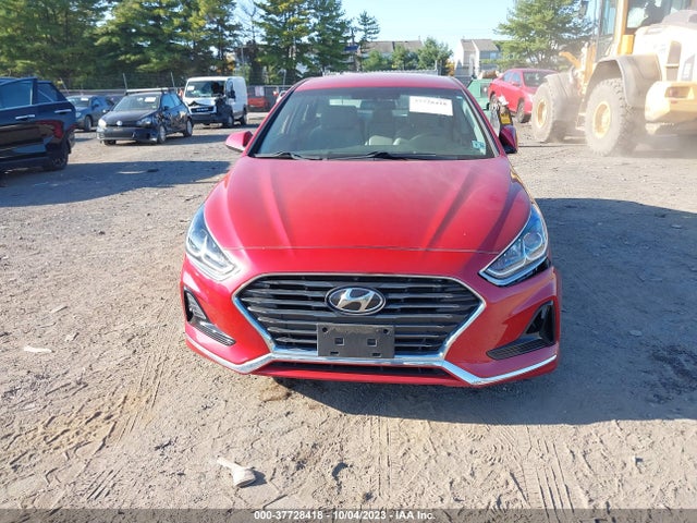 Hyundai SONATA SE 2019 5NPE24AFXKH805956 Image 12