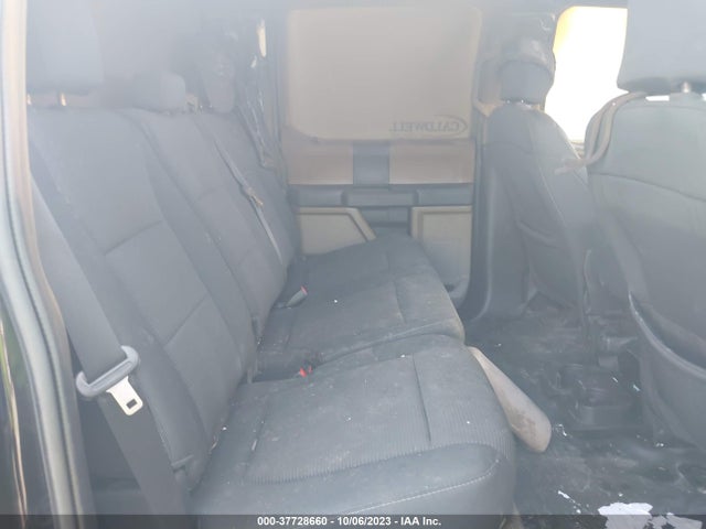 Ford F-150 Xl 2019 1FTEW1EP8KKE59588 Image 8