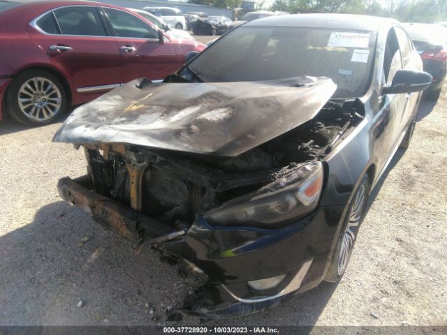 KNALN4D76E5165202 KIA Cadenza Premium