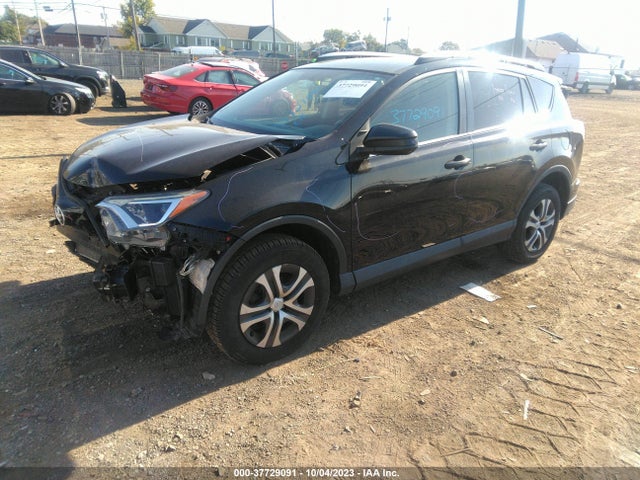 2016 TOYOTA RAV4 LE VIN: 2T3BFREV3GW427484