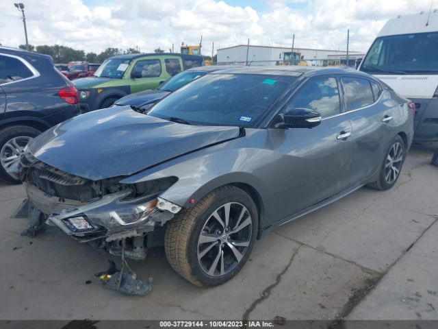 1N4AA6AP9HC446924 Nissan Maxima Platinum