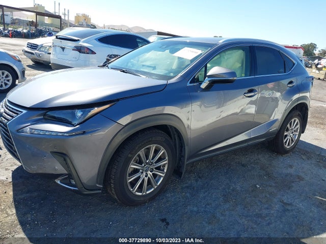 JTJBJRBZ0K2104319 Lexus Nx Nx 300h