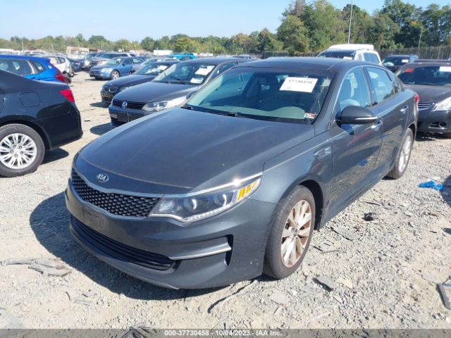 5XXGU4L36GG096385 KIA OPTIMA EX