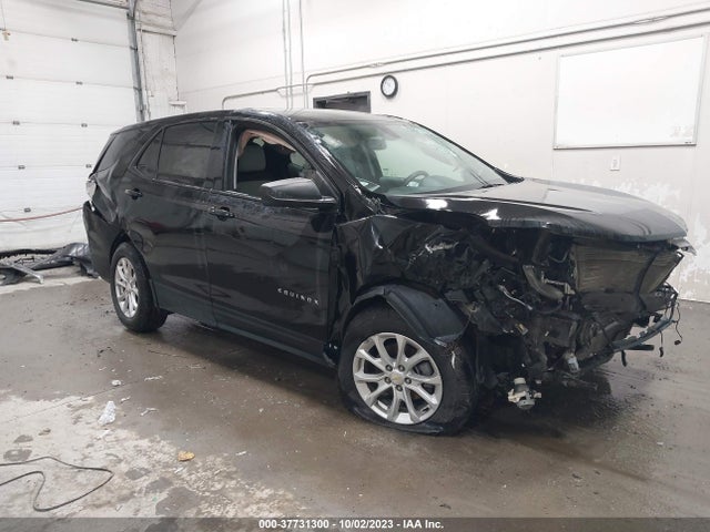 Chevrolet EQUINOX LS 2019 2GNAXSEV3K6239768 Image 1