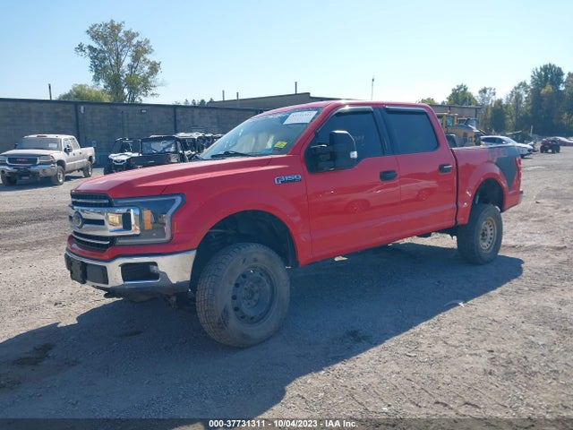Ford F-150 Xlt 2019 1FTEW1E52KFA20488 Image 2